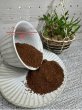 画像2: 【美鈴コーヒー】ブルーマウンテン (2)