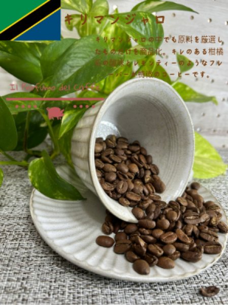 画像1: キリマンジャロ  【500g】 (1)