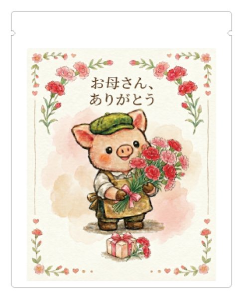 画像1: カーネーションに想いを込めて (1)